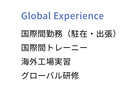 Global Experience